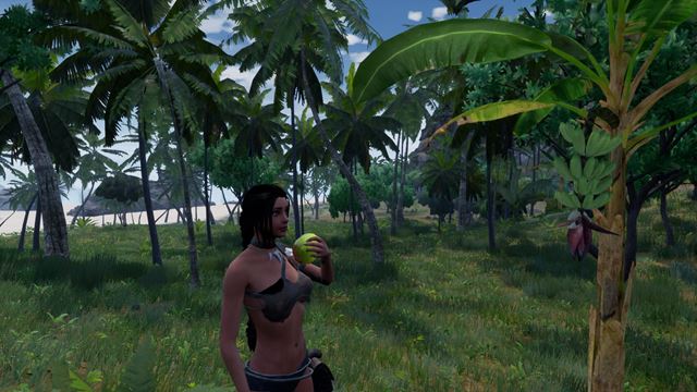 Slovensk� survival titul AreaZ dostal ve�k� update k svojmu roku v Early Access 