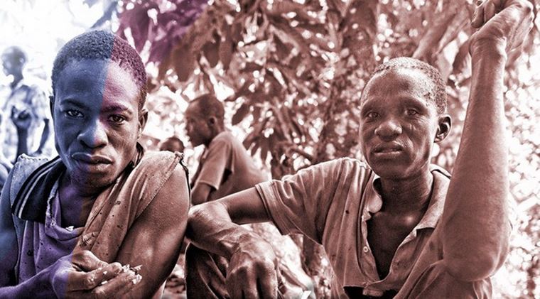 Dokument o pestovaní kakaa s výpoveďami robotníkov a pestovateľov