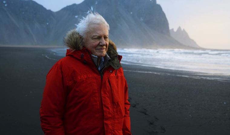Má 94 rokov, bojuje za prírodu a nekončí. Práve naopak. David Attenborough