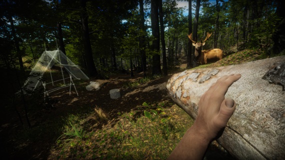 Primal Man Simulator zmapuje evolciu loveka