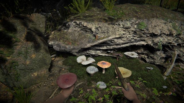 Primal Man Simulator zmapuje evol�ciu �loveka 