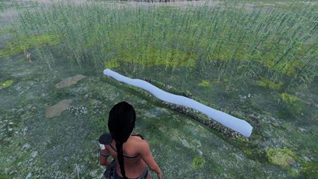 Slovensk survivalovka AreaZ dostala nov update s lnmi  