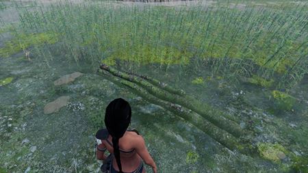 Slovensk survivalovka AreaZ dostala nov update s lnmi  