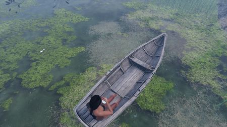 Slovensk survivalovka AreaZ dostala nov update s lnmi  