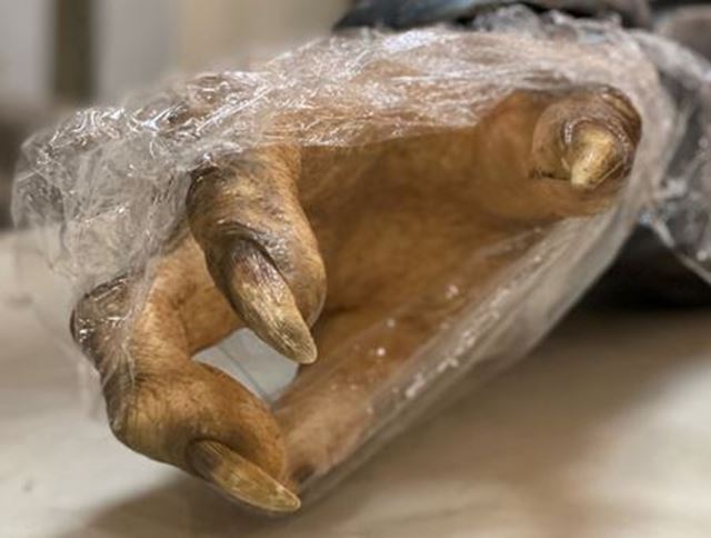 Prv� z�bery z pripravovan�ho ak�n�ho sci-fi Halo pod�a konzolovej hry 