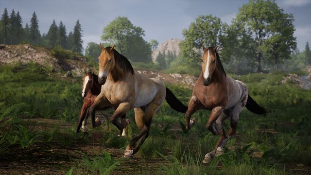 Do Medieval Dynasty pricvlali kone, zvila sa osada, mnoia sa zvierat  