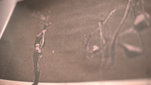 Keiichiro Toyama, tvorca Silent Hillu, odi�iel zo Sony, zobral aj producenta Last Guardiana 