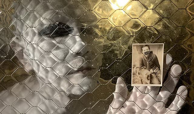 Ak filmy saia oZlatho medvea na tohtoronom Berlinale?  