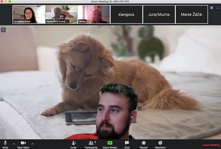 LevelUp otvra brnu do sveta vvoja hier, tentokrt online  