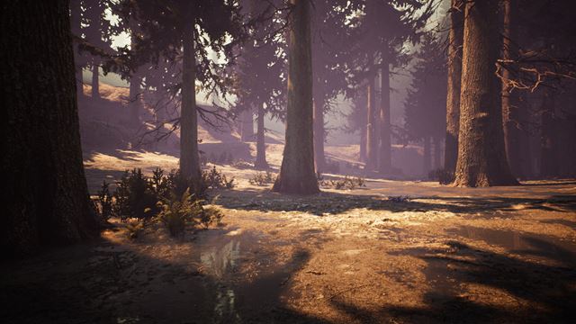 Aj Steam pon�ka hry zadarmo, hlavne pre menej n�ro�n�ch hr��ov 