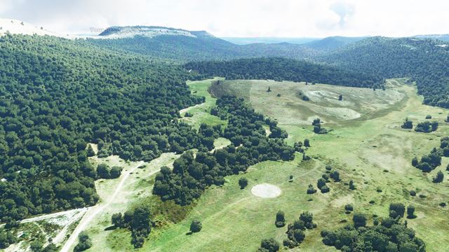 Flight Simulator predstavuje multiplayer, pon�ka nov� z�bery 