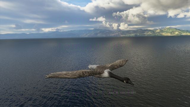 Flight Simulator predstavuje multiplayer, pon�ka nov� z�bery 