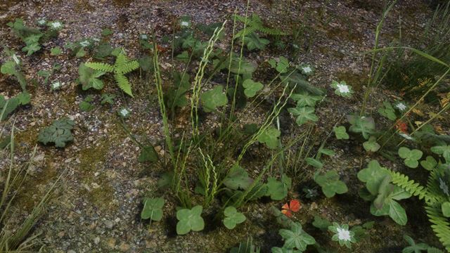 Chcete super text�ry pre Skyrim? Tamrielic Textures svet hry zre�lnia 