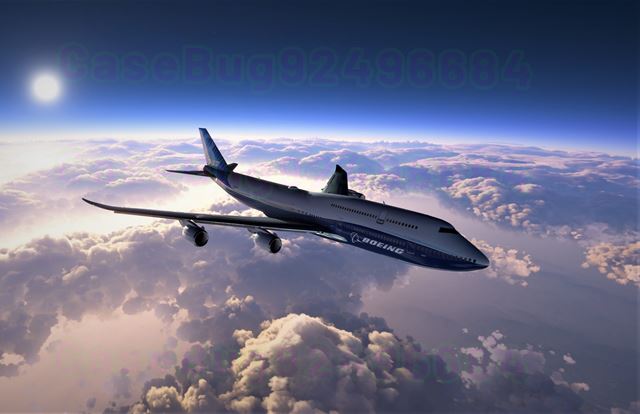 Nov� d�vka z�berov z Flight Simulatoru 