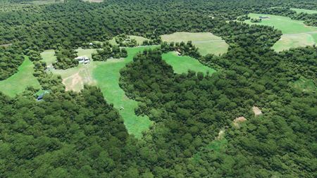 Flight Simulator nezabudol prinies zbery ani tento vkend  