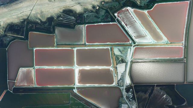 Flight Simulator dostal d�tum uzavret�ho beta testu 