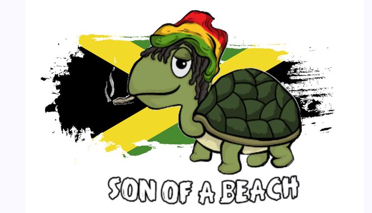 Vyhúlená stará korytnačka na Jamajke