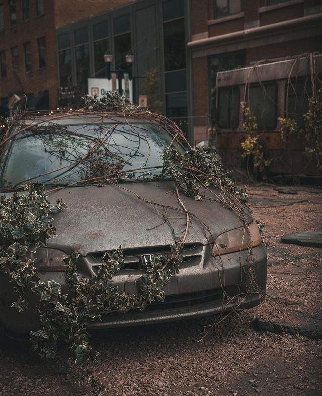 �al�ie fotky z nakr�cania The Last of Us seri�lu 