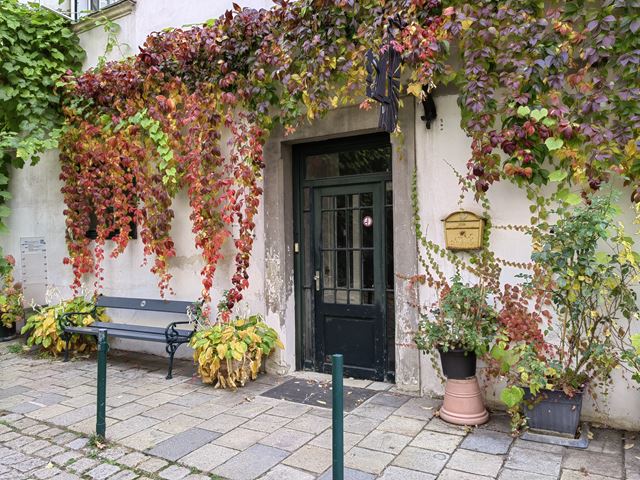 Huawei Nova 9 spustil predobjedn�vky, prid�va k nim FreeBuds 4i, ale ak� vlastne je? 