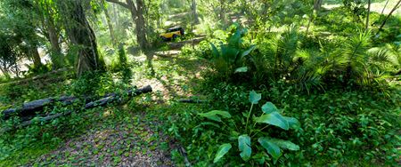 Poh�ady na Mexiko vo Forza Horizon 5  