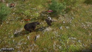 Fractured Online bude nov sandbox MMORPG s otvorenm fantasy svetom 