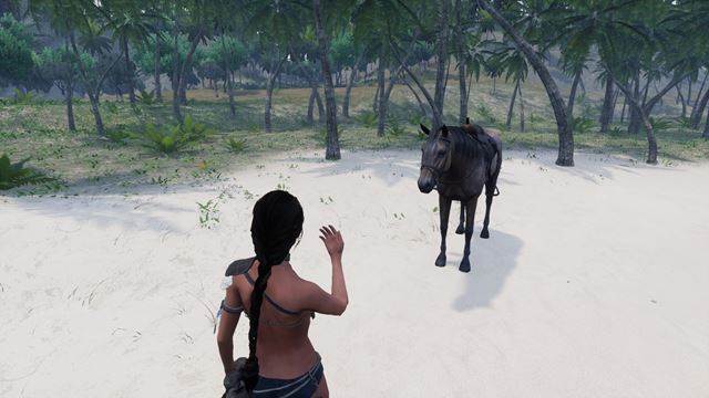 Slovensk� survivalovka AreaZ prestavuje pr�davok kon� 