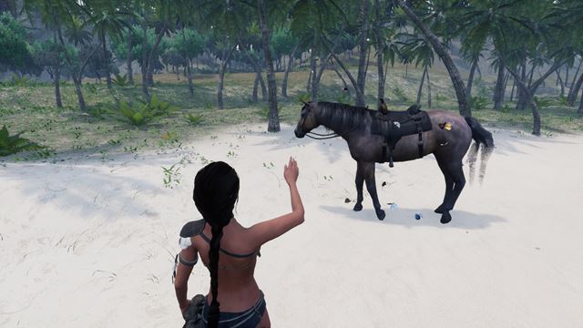 Slovensk� survivalovka AreaZ prestavuje pr�davok kon� 