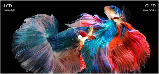 ASUS spa OLED kampa, draz kladie na zdravotn vhody OLED displejov v notebookoch 