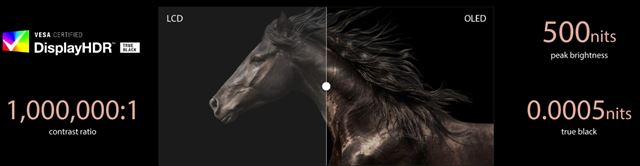 ASUS spa OLED kampa, draz kladie na zdravotn vhody OLED displejov v notebookoch 