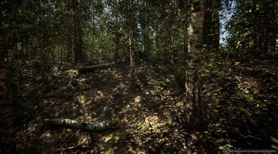 Ukka zobrazenia lesa v Unreal Engine 5