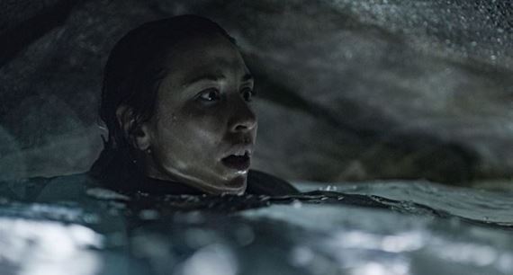 V pasci, Bež!, Prekliata, Luca, Hejteri, Tu to musí byť - Do kina vol. 159