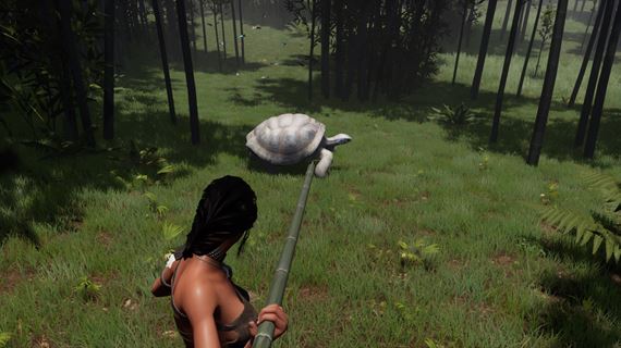 Slovenský survival AreaZ prináša morské živočíchy a plazy