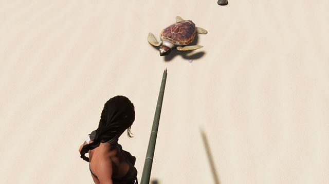 Slovensk� survival AreaZ prin�a morsk� �ivo��chy a plazy 