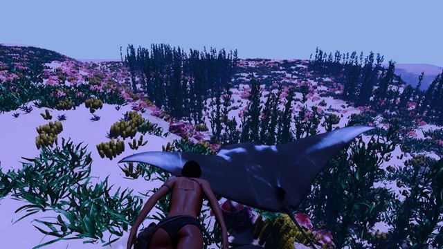 Slovensk� survival AreaZ prin�a morsk� �ivo��chy a plazy 