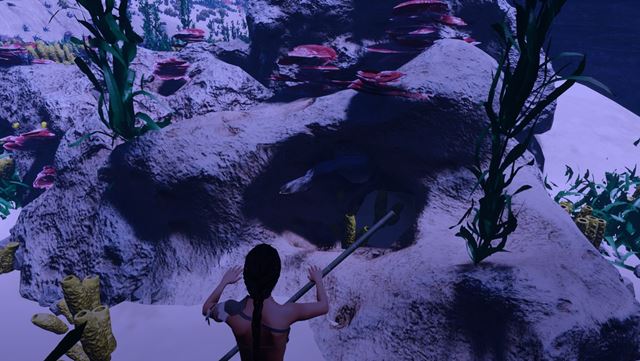 Slovensk� survival AreaZ prin�a morsk� �ivo��chy a plazy 