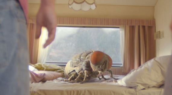 Mucha v kufri, To ta monarchia, Na palubu, Space Jam - Do kina vol. 163