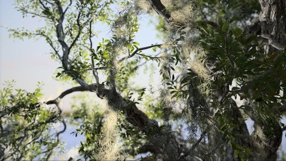 Unity kpilo vvojrov SpeedTree