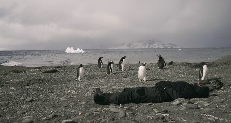 Biela na bielej, medzinrodne spen dokumentrny dennk z Antarktdy