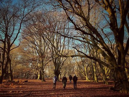 Produkcia tretej srie serilovho Witchera zaala  
