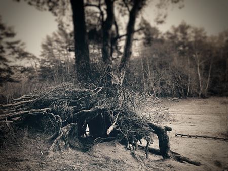 Produkcia tretej srie serilovho Witchera zaala  