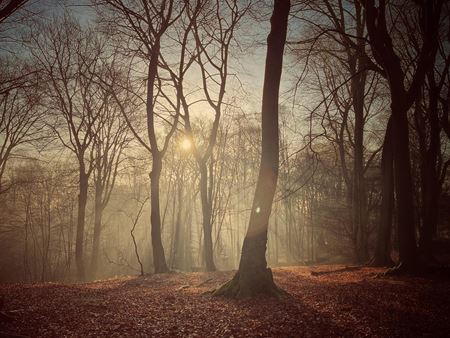 Produkcia tretej srie serilovho Witchera zaala  