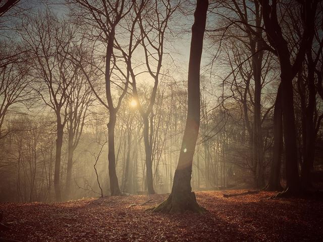 Produkcia tretej s�rie seri�lov�ho Witchera za�ala 