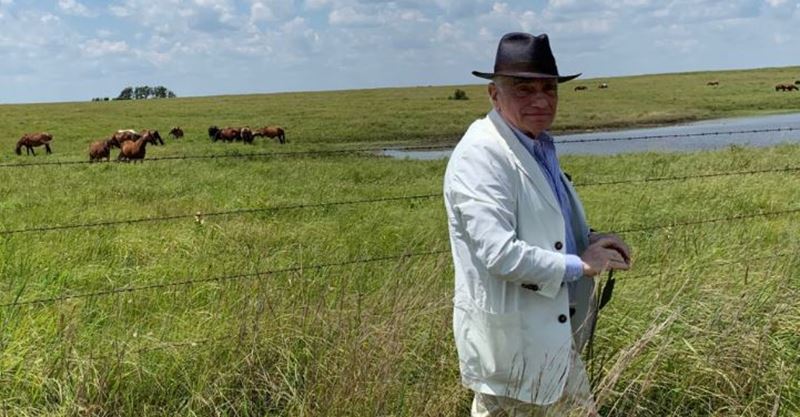 Scorsese napadol verejn diskurz Box Office ziskov