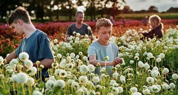 Do kín prišli filmy z veľkých festivalov. Týchto desať rozhodne nezmeškajte