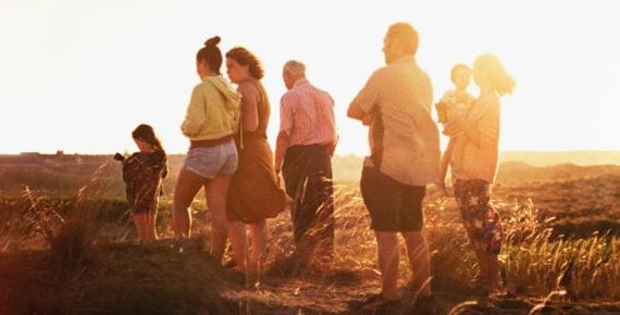 Alcarràs, Fabian - Príbeh moralistu, Posledný strih, Let domov - Do kina vol. 229