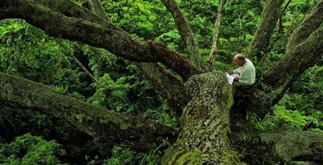 Televzny vber - Airport, Il tait une forêt, Kladivo na arodejnice, Happy End 