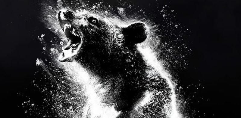 Temn triler o nakoksovanom medveovi Cocaine Bear