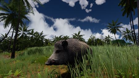 Slovensk survival AreaZ vylepuje zvierat  