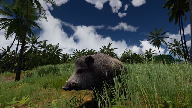 Slovensk� survival AreaZ vylep�uje zvierat� 