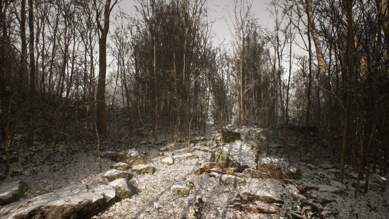 Abandoned nebol zruen